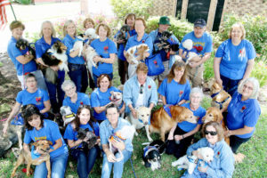 Volunteers and dogs-Houston Chronicle photo