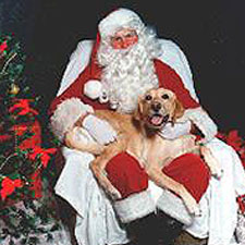 Sitting in Santa's lap!